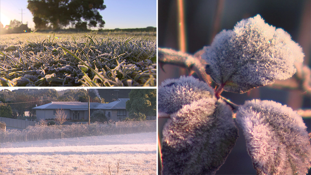 Australians wake up to coldest morning of the year
