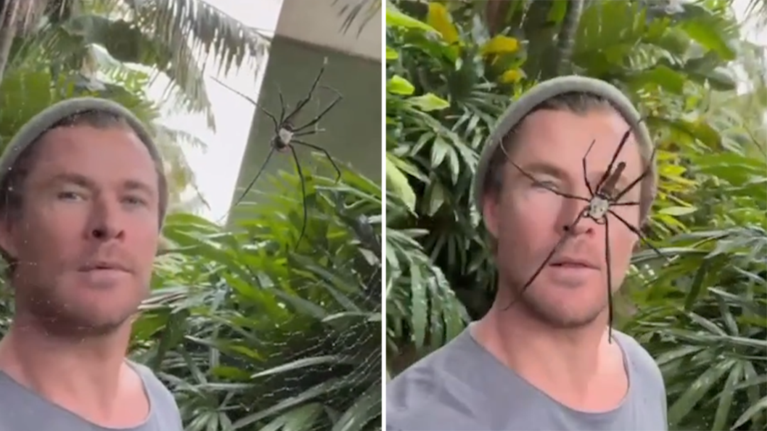 Chris Hemsworth films terrifying encounter with massive spider