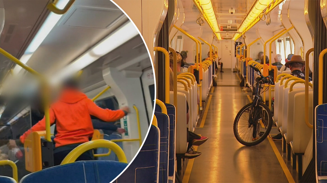 Brawl frightens passengers on Adelaide train