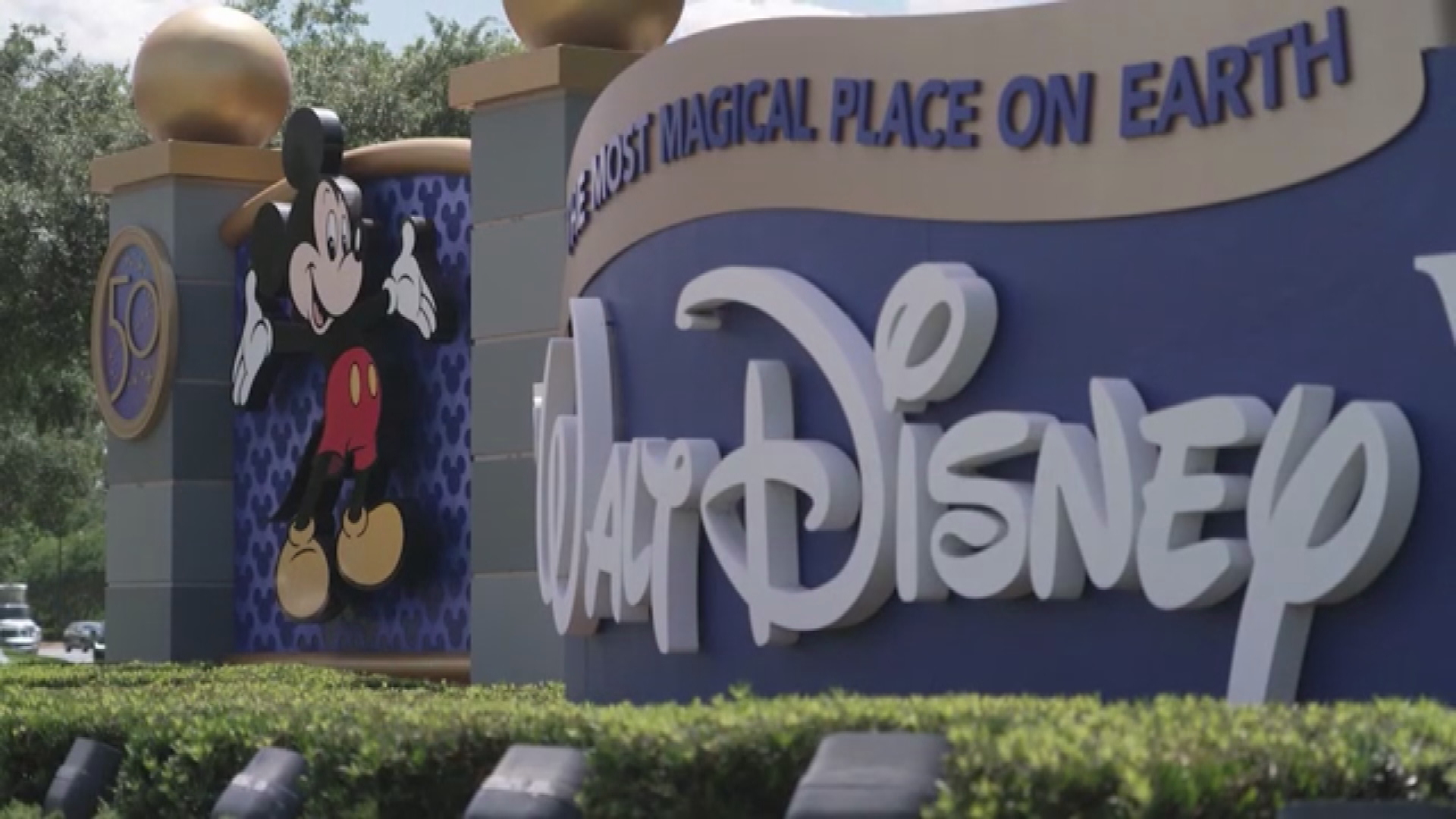 Disney+ at the centre of wrongful death suit after woman dies from severe food allergy