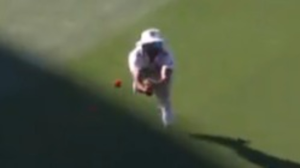 Steve Smith - Figure 3