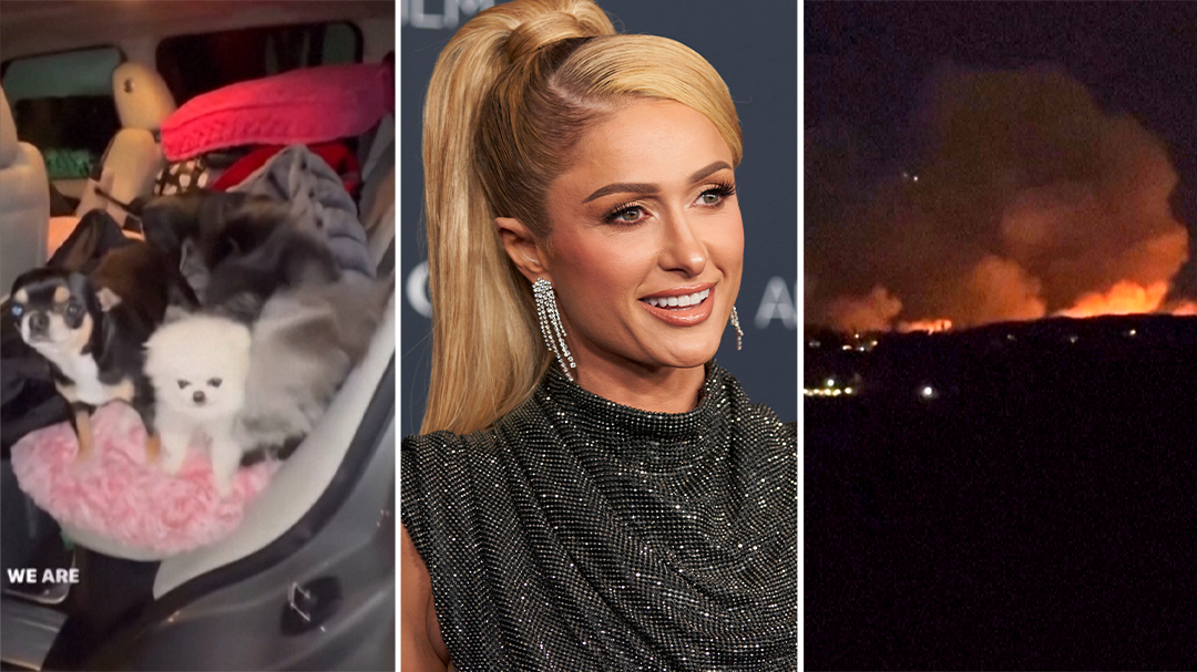 Paris Hilton evacuates LA fires with her dogs